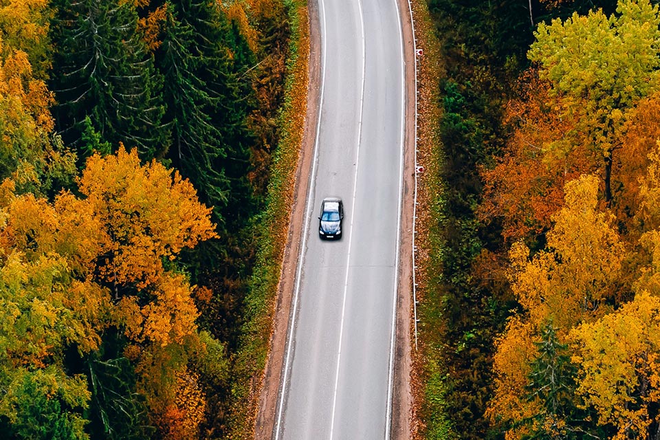 Bil kører på vej i efterårsvejr